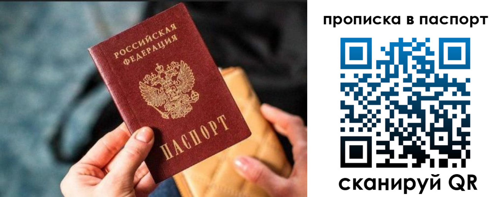 найти адрес прописки в Сертолово